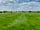 Sunnyridge Camp 2020: Grass pitches