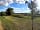 Morelands Copse Camping: Grass camping area
