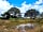 Milkmaid Meadow Campsite: Scenic pond on site