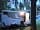 The Anvil Inn: Under the willow tree