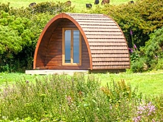 Caradoc of Tregardock, Delabole, Cornwall