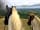 Rosebud Meadow: On top of the Malverns