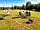 Beanhill Farm: So much space!