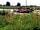 Beleef Lauwersoog: One of the many canals
