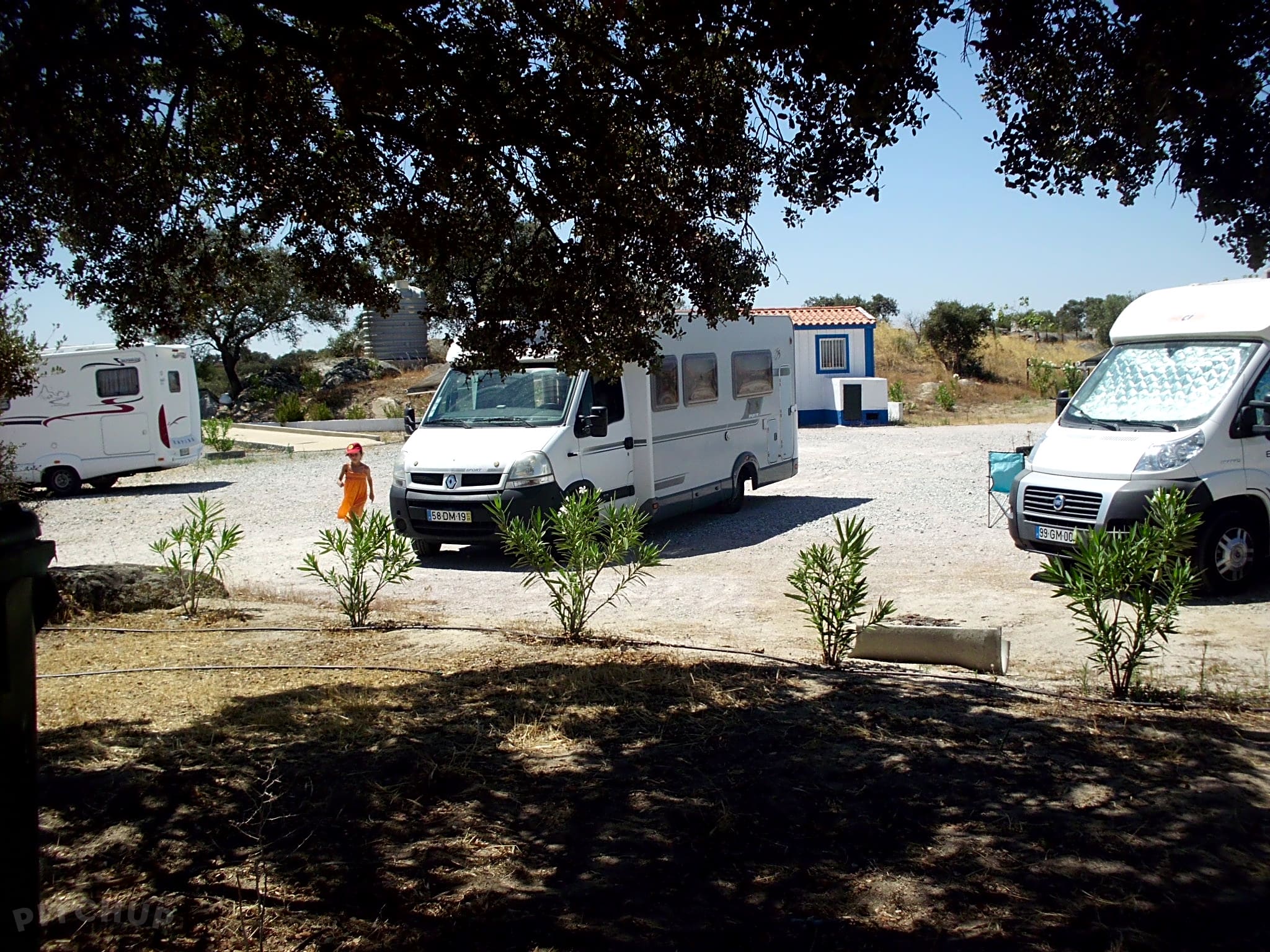Alqueva Rural Camping Resort Pedrogao Pitchup