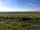 Law Farm Campsite: Barley field