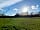 Small Trees Campsite: Views of the Orchard in early spring