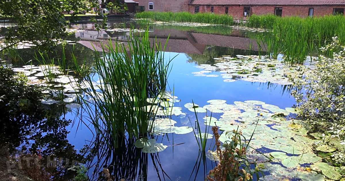 Mill Farm Camping, North Walsham