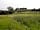 Far Peak Campsite: Camping field