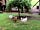 The Old Dairy Farm Caravan and Camping: Free-range chickens (photo added by manager on 13/08/2020)