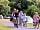 Lady's Mile Holiday Park