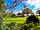 Borders Hideaway Holiday Home Park (фото добавлено менеджером 17.08.2022)