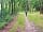 Oakmoor Touring Park: A walk from the campsite towards Chudleigh Knighton.