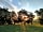 Park Farm Campsite: Sunrise on the site (photo added by manager on 14/04/2021)