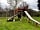 Henllan Caravan Park