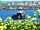 Cool Cow Camping: Nearby coast scenery