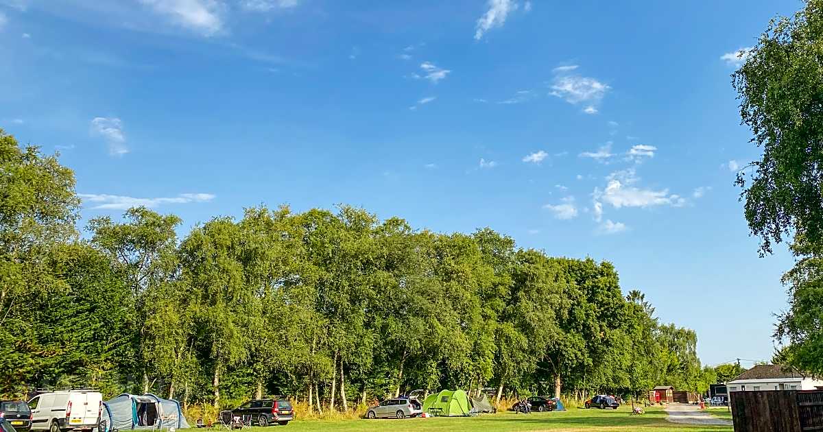 Woodlands Campsite, Wareham Updated 2024 prices