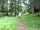 Gorsebank Camping Village: Plenty of space to explore around the farm