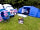 Fferm Gelli Camping: :) (photo added by megan_t998138 on 03/06/2022)