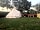 Orchard View: Bell tent