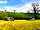 Tireithin Meadow Camping Retreat