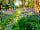 Morelands Copse Camping: The 'gin & tonic terrace' in the spring
