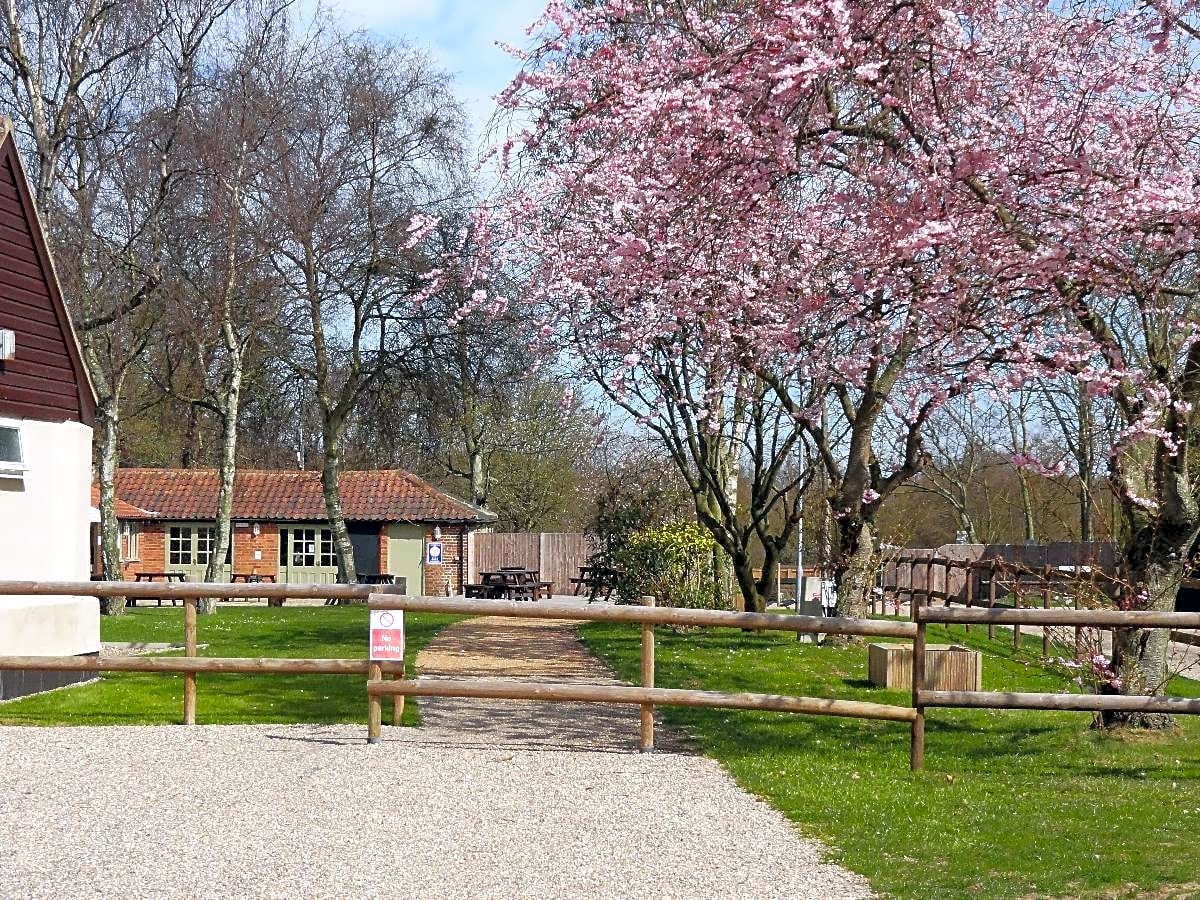 Forest Park Caravan Site, Cromer Pitchup® Forest Park Caravan Site, Cromer Pitchup®