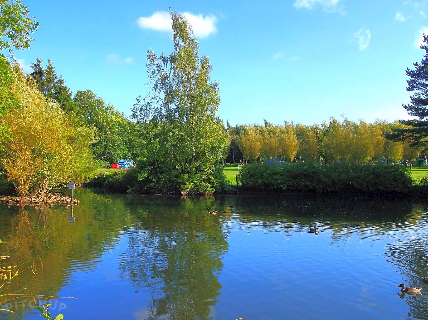 Find Cheap Tent Camping Sites In North East England Pitchup