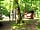 Trewan Hall Camping Site: The woodland playpark