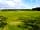 Yonder Green Caravan Park: Sunny grass pitches (photo added by manager on 05/05/2017)