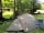 Widecombe Valley - Dartmoor Camping: Great spot for backpackers and walkers
