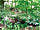 Butcombe New Woods: Nearby trails around Blagdon Lake