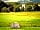 Kirkby Lonsdale Rugby Club Camping (фото добавлено менеджером 19.02.2021)