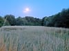Manor Farm: Moonlight (photo added by stuart_k151481 on 07/09/2025)