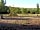 Chittlesford Mill Farm Camping: Non-electric grass tent pitch 