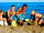 Europa Camping Village: Enjoy your summer holiday on the Adriatic coast