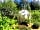 The Dome Garden: Trees and plants all around