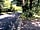 Top Corner Camping: Entrance from the Cadnam direction
