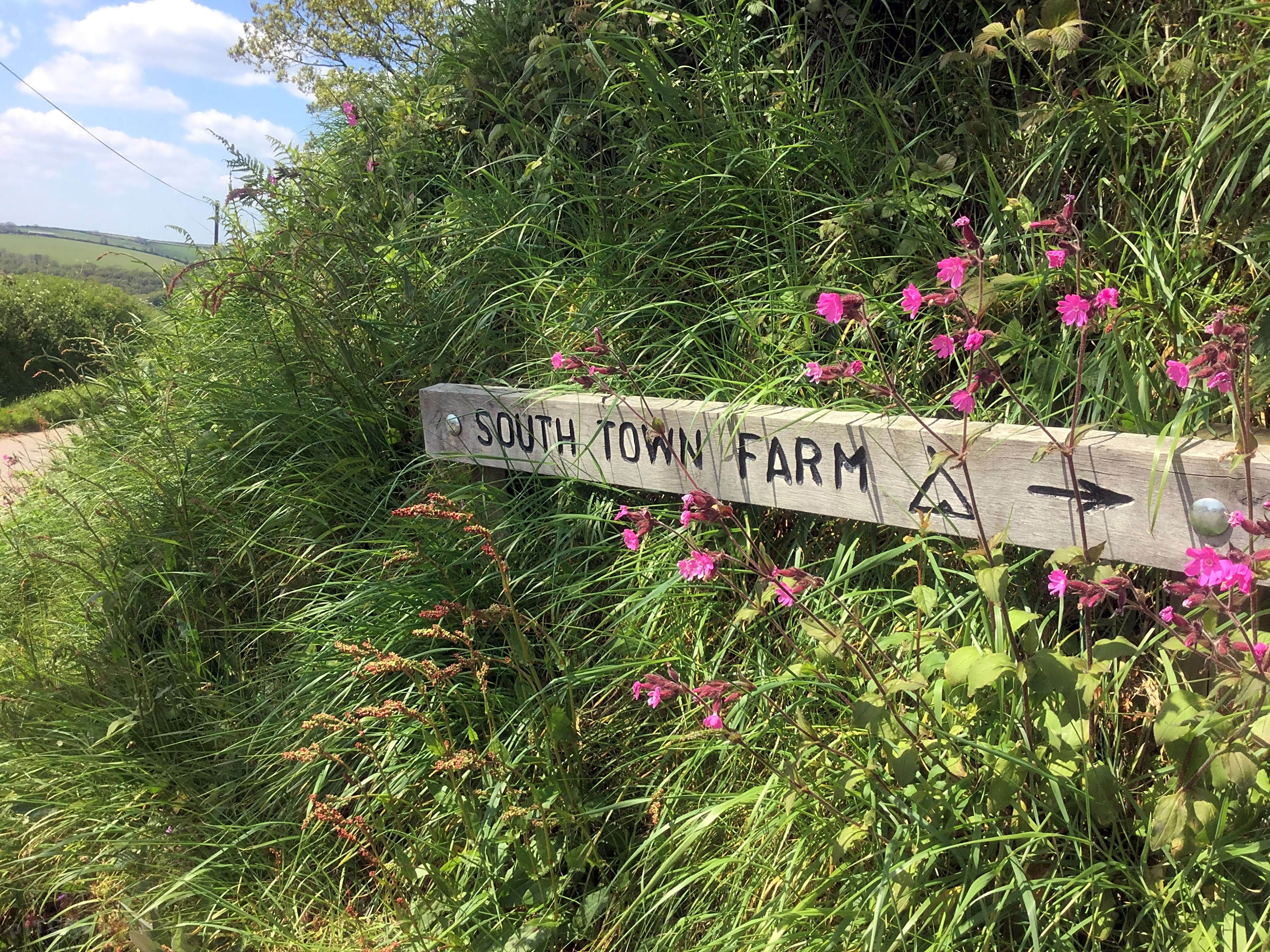 South Town Farm, Barnstaple Updated 2019 prices Pitchup®