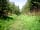 The Nipstone Campsite: The public track leading from the pitching field