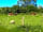 Gwatkin Red Cow Campsite (фото добавлено katiejames1962602a786c40c3 29.05.2023)