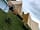 Greenacres Glamping