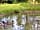Appledore Park: Regular visitors