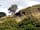 Dare Valley Country Park: Dare Valley Country Park