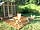 Cadora Woods Glamping: Hangar and seating