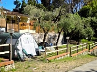 Tent pitches Tent pitches