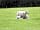 Markstone Farm Caravan and Camping: Ewe didn't get my best side