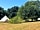 Oak Lodge Glamping: Tents in the shade of the oak trees (photo added by manager on 25/06/2018)