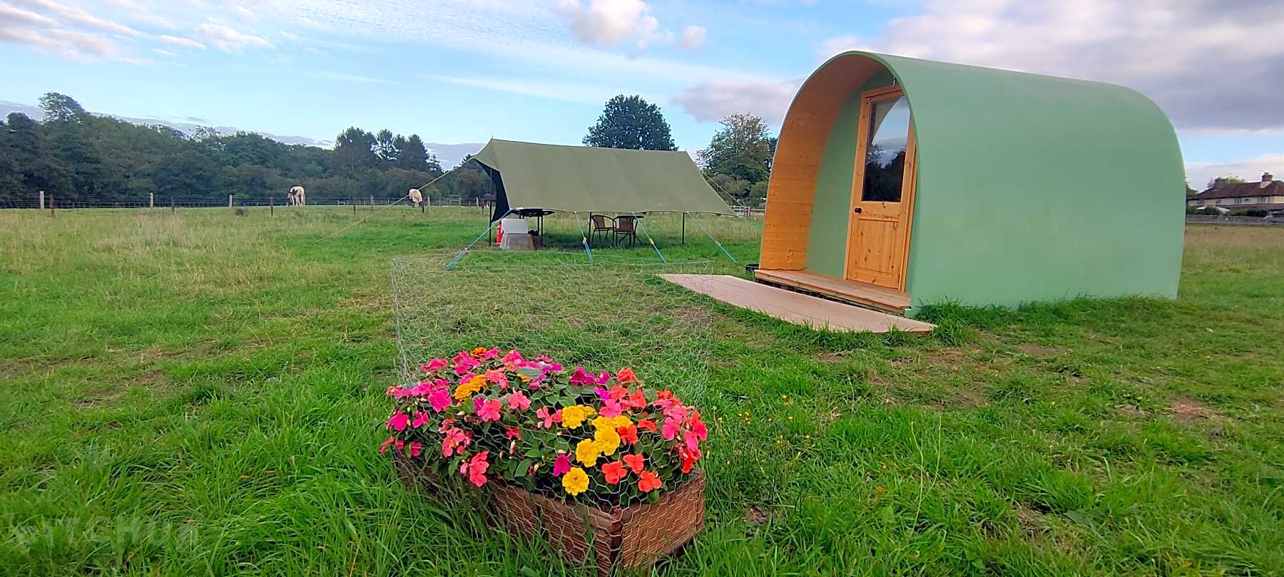 Find the Best Lodges & Log Cabins in Patching, East Sussex ...
