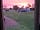 Olive Tree Caravan and Camping Park